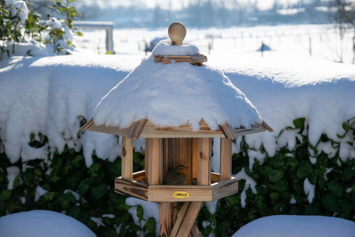 dobar Vogelhaus Ember